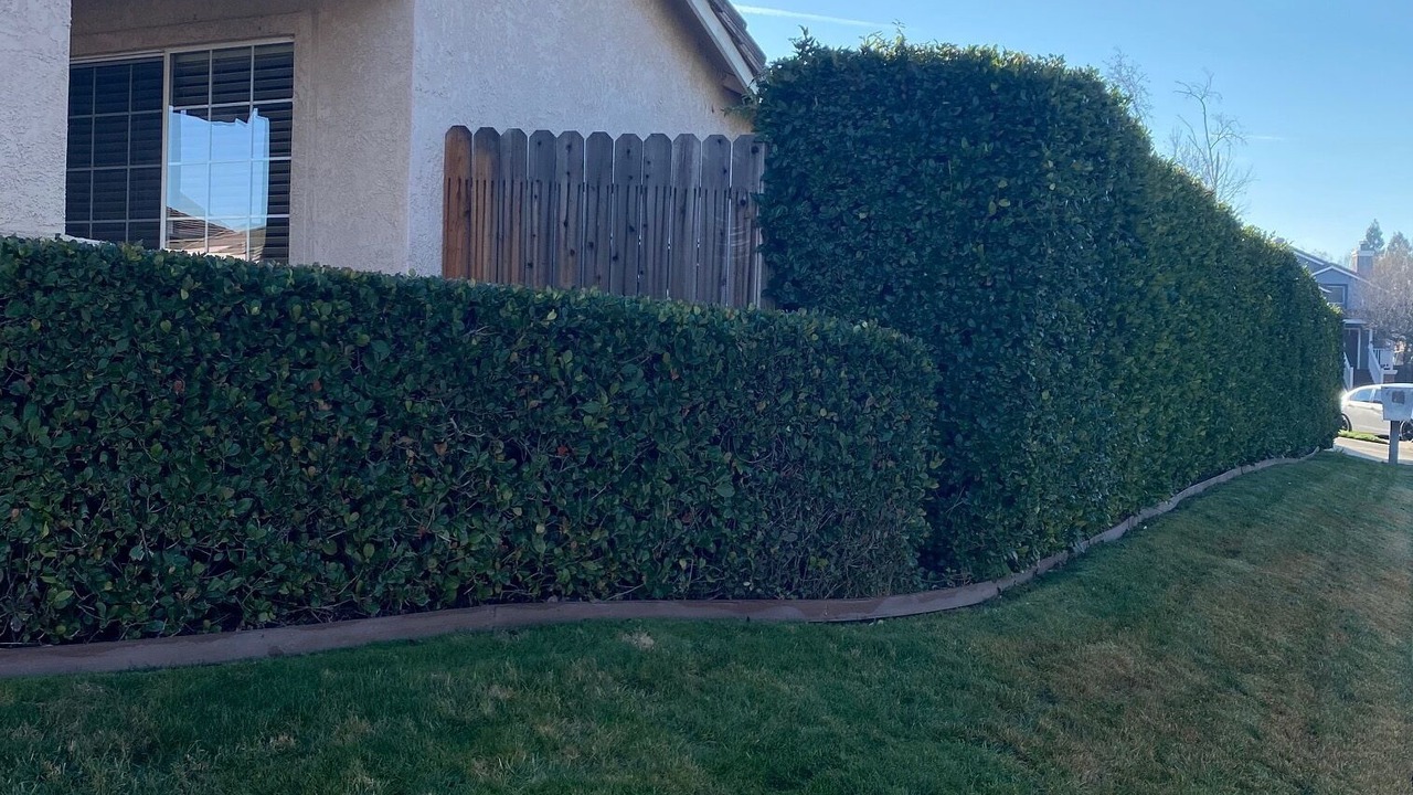 Photo of Outdoor in Roseville