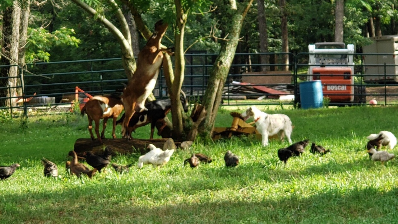 Photo of Outdoor in Richwoods
