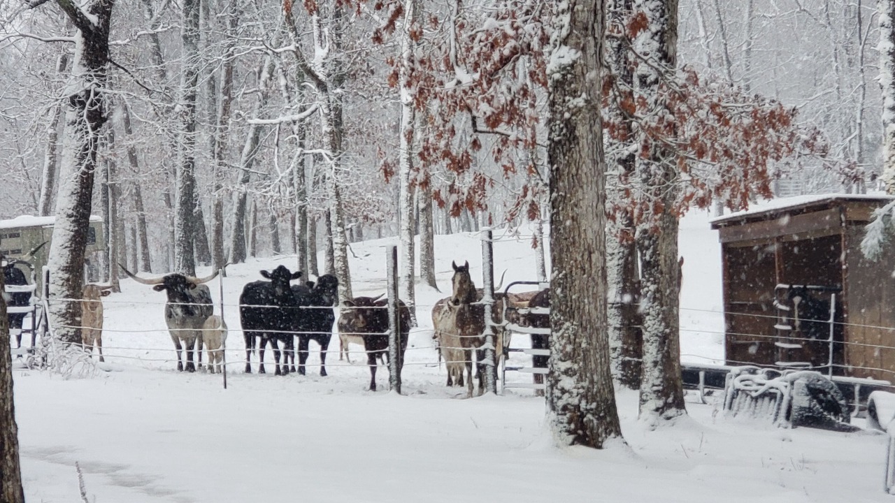 Photo of Outdoor in Richwoods