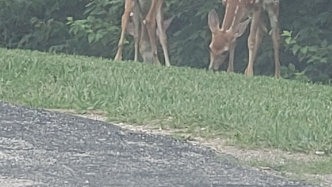 Photo of Outdoor in Richwoods