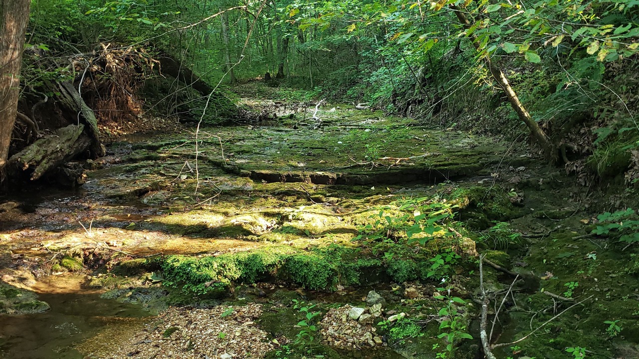 Photo of Outdoor in Richwoods