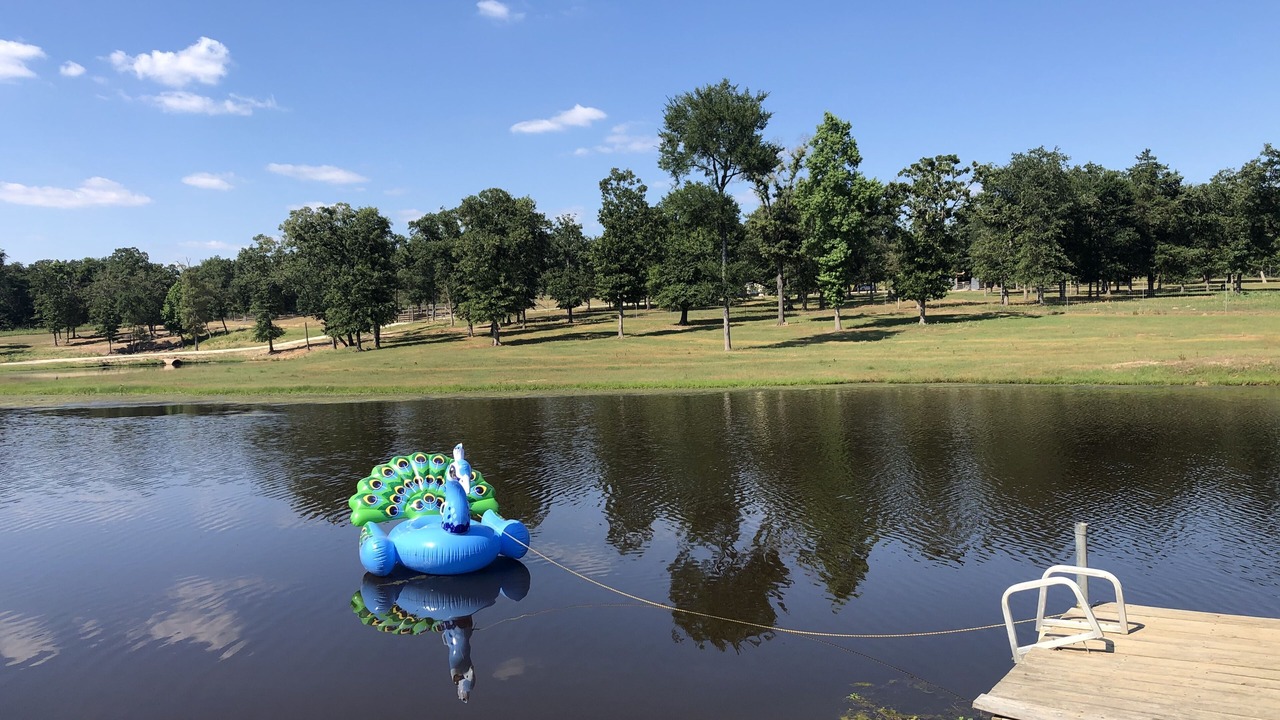 Photo of Outdoor in Centerville