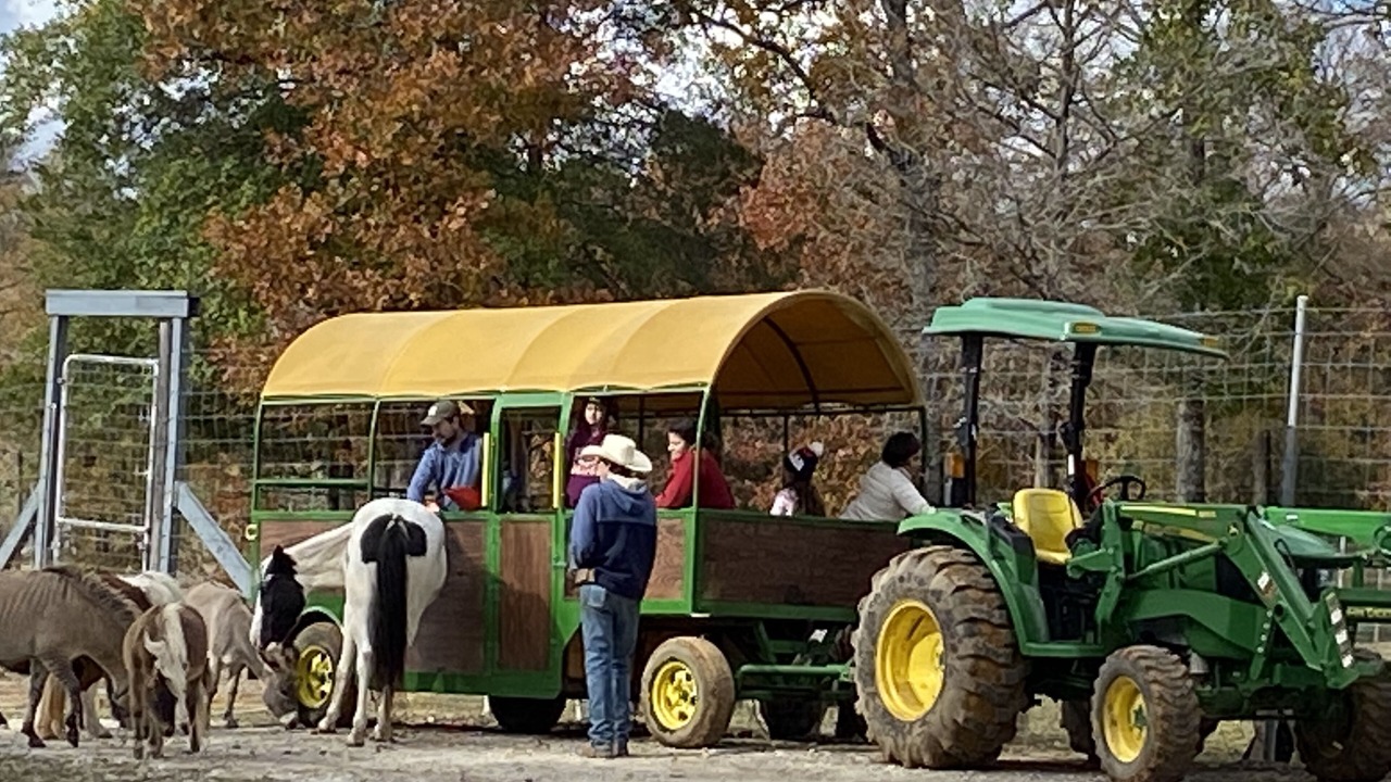 Photo of Others in Centerville