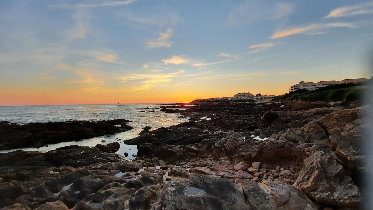 Photo of Others in Olonne-sur-Mer
