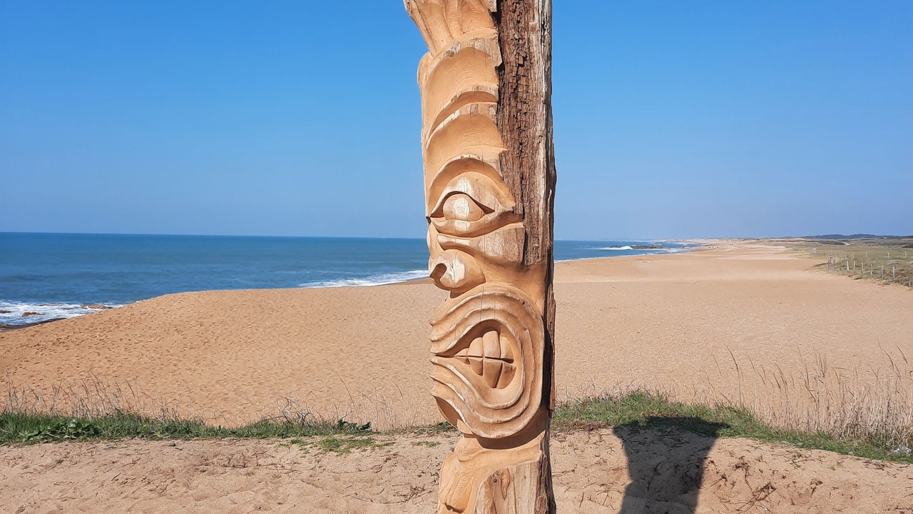 Photo of Others in Olonne-sur-Mer