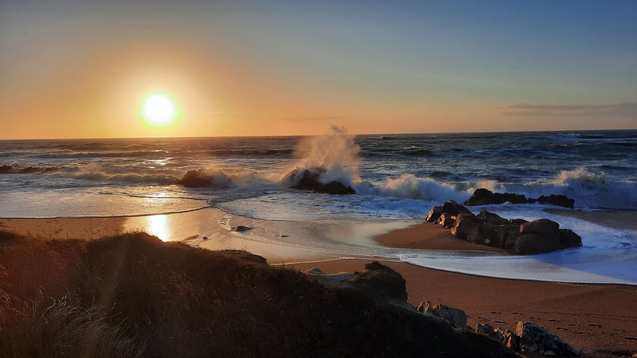 Photo of Others in Olonne-sur-Mer