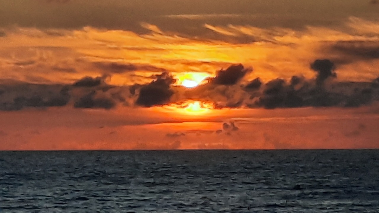 Photo of Others in Olonne-sur-Mer