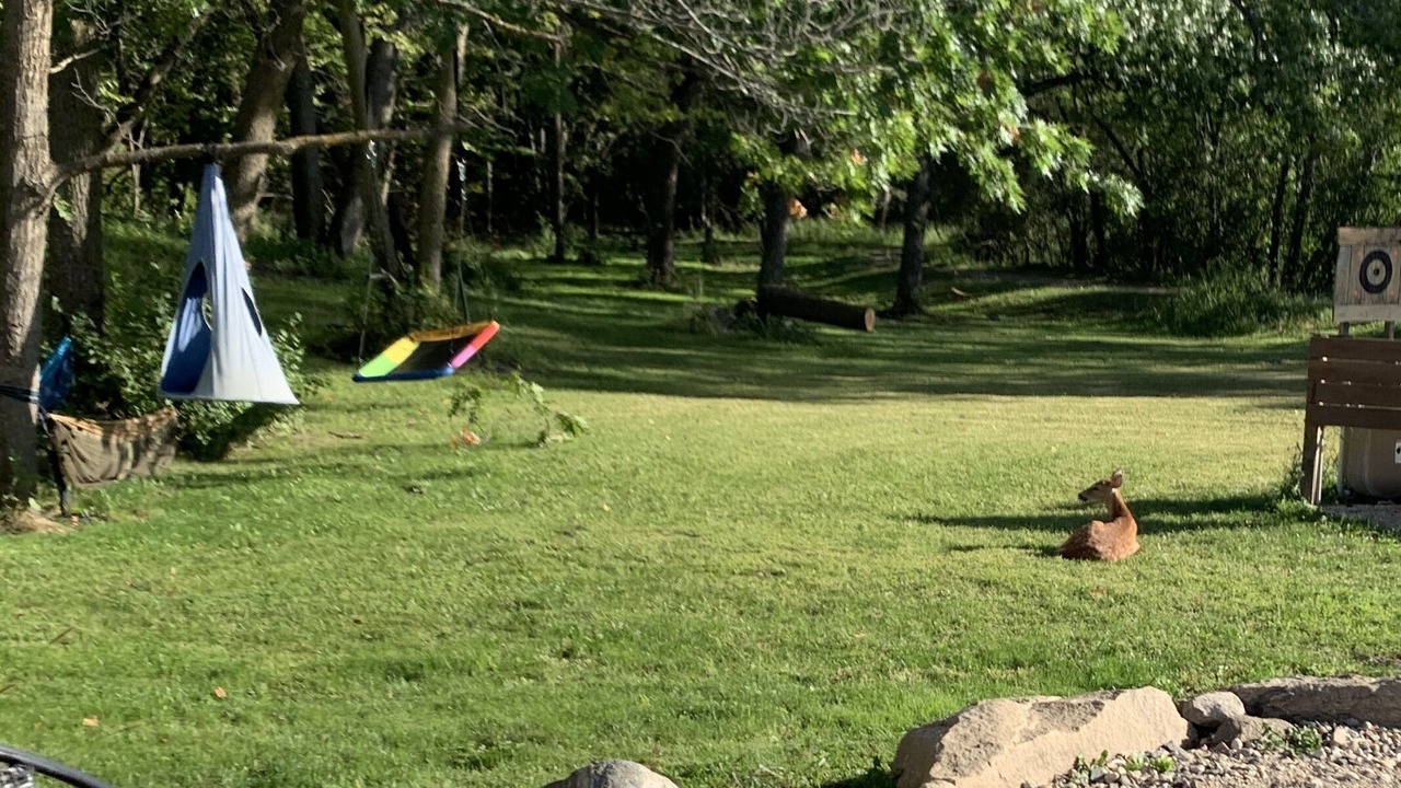 Photo of Outdoor in Spicer