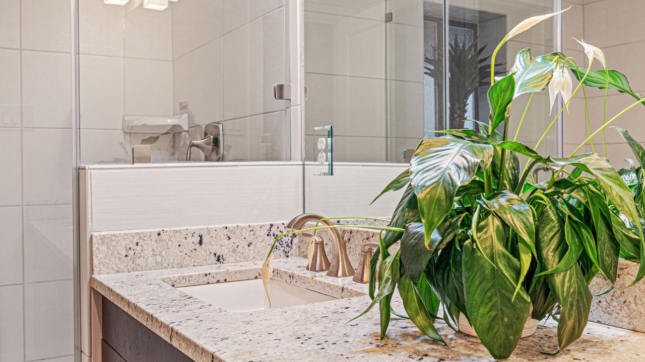Photo of Bathroom in Volente