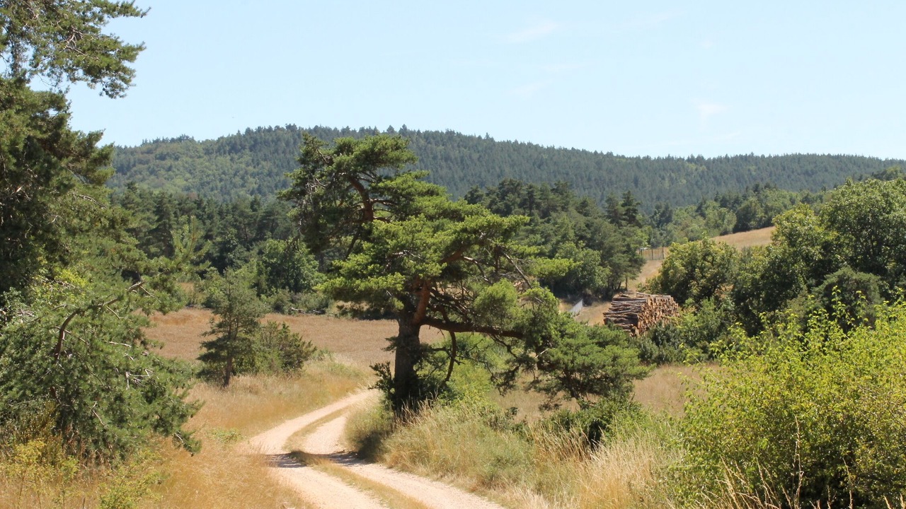 Photo of Outdoor in Laval-du-Tarn