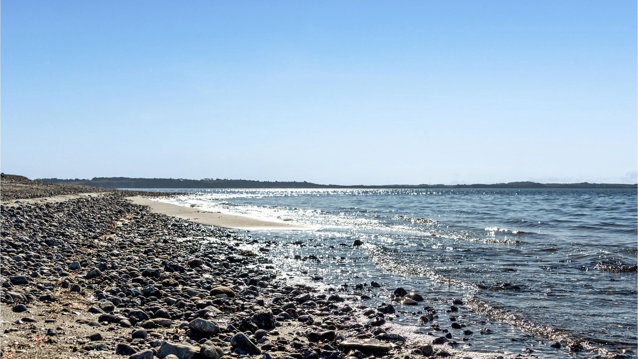 Photo of Others in Oddesund Syd