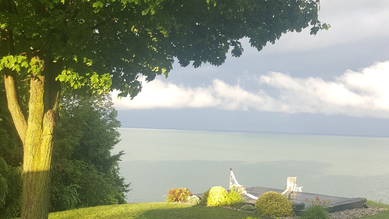 Photo of Outdoor in Romney
