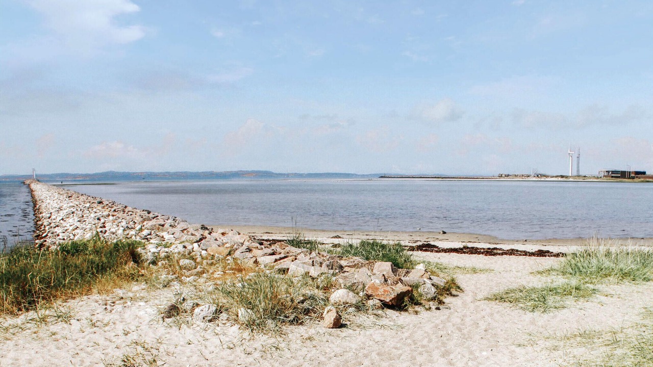 Photo of Others in Øer Strand