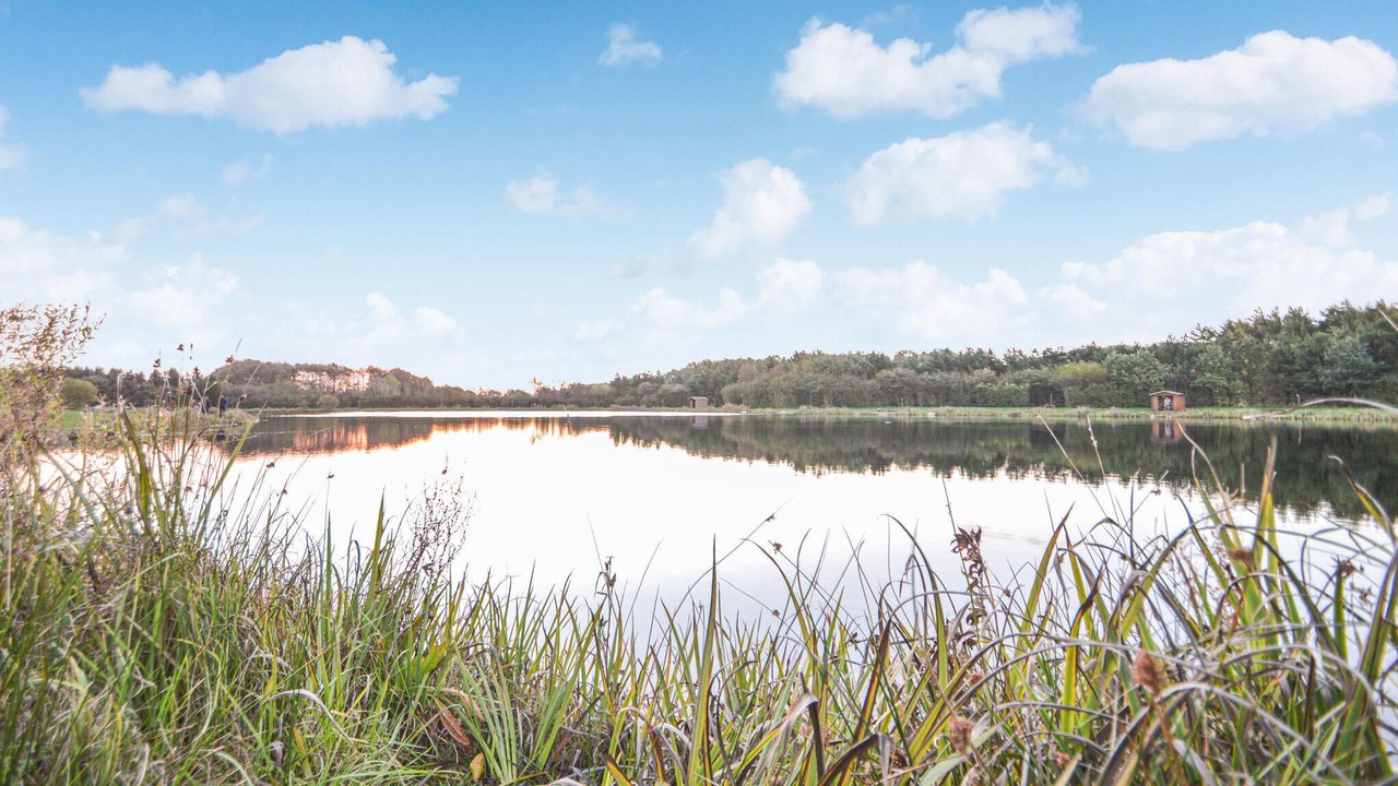 Photo of Others in Arrild