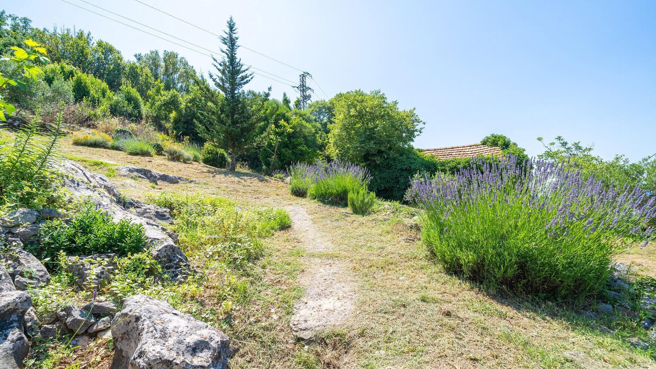 Photo of Others in Konavle