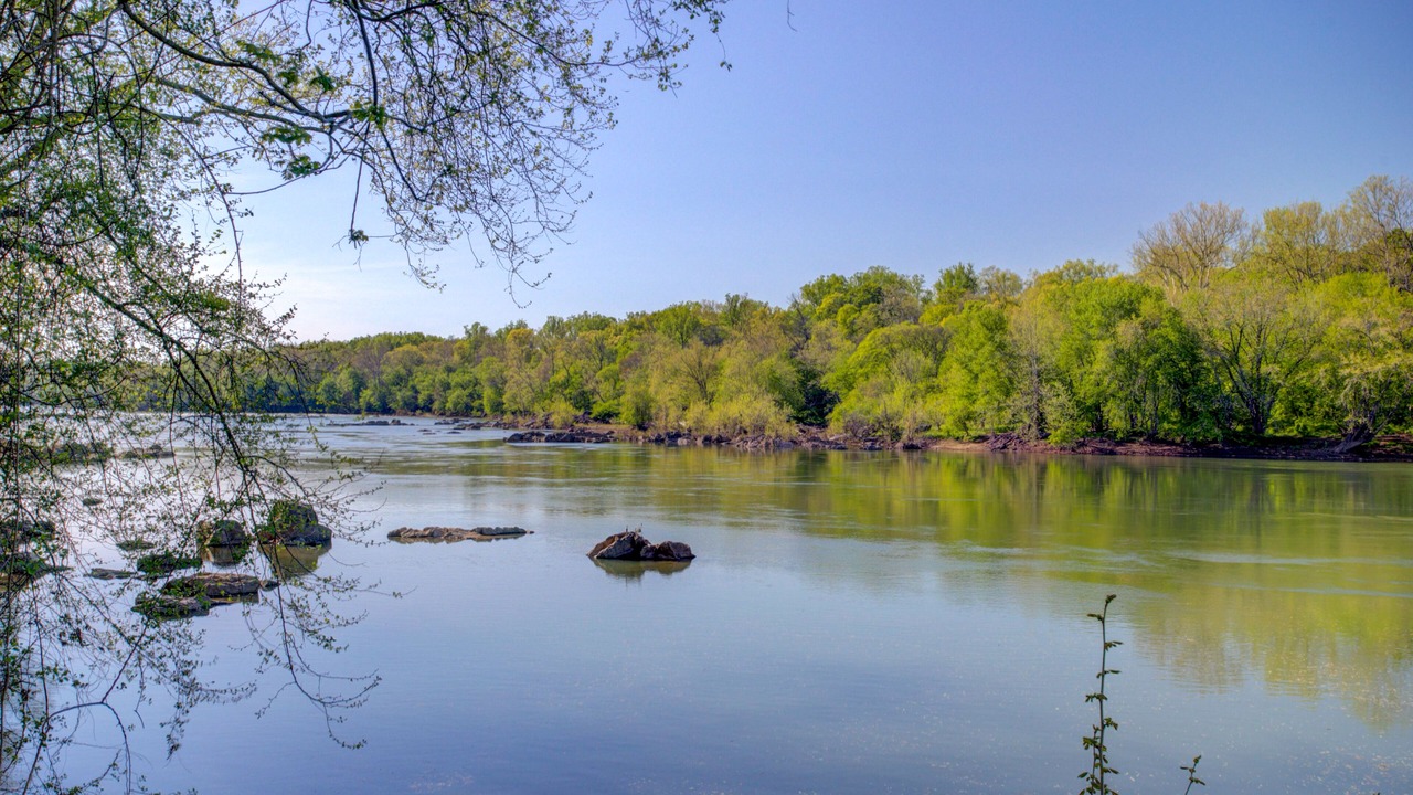 Photo of Outdoor in McLean