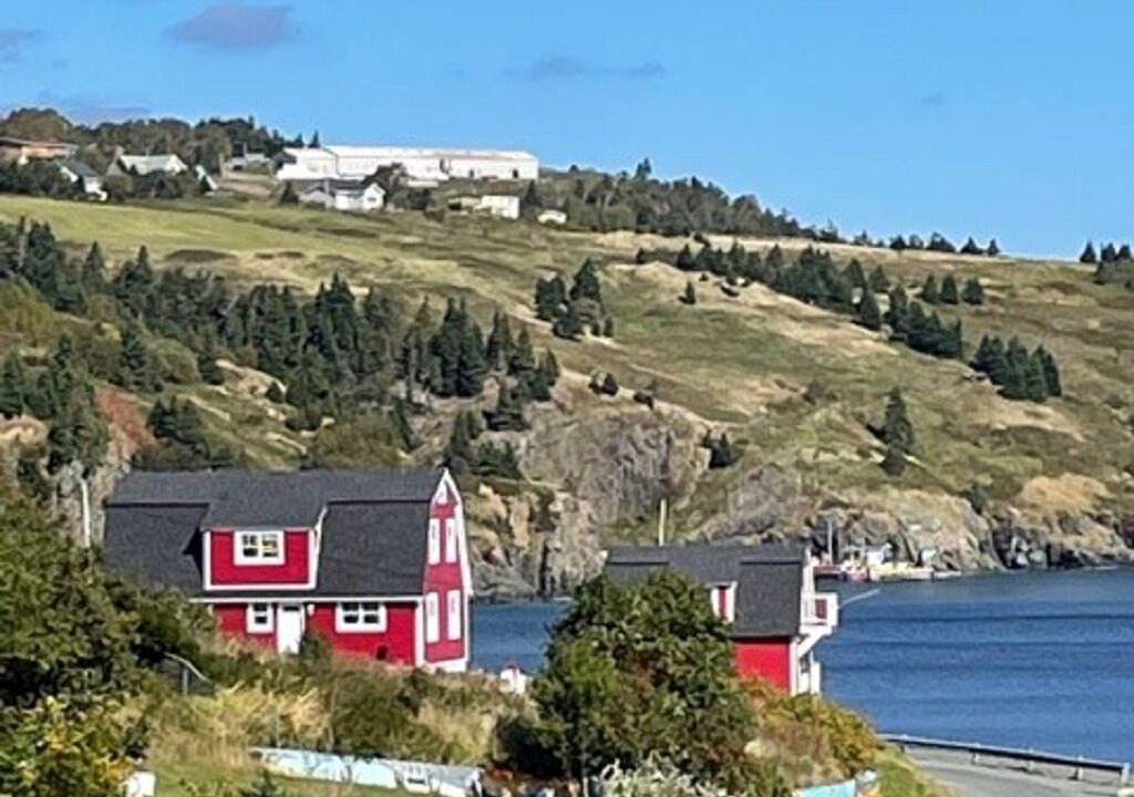Photo of Outdoor in Torbay