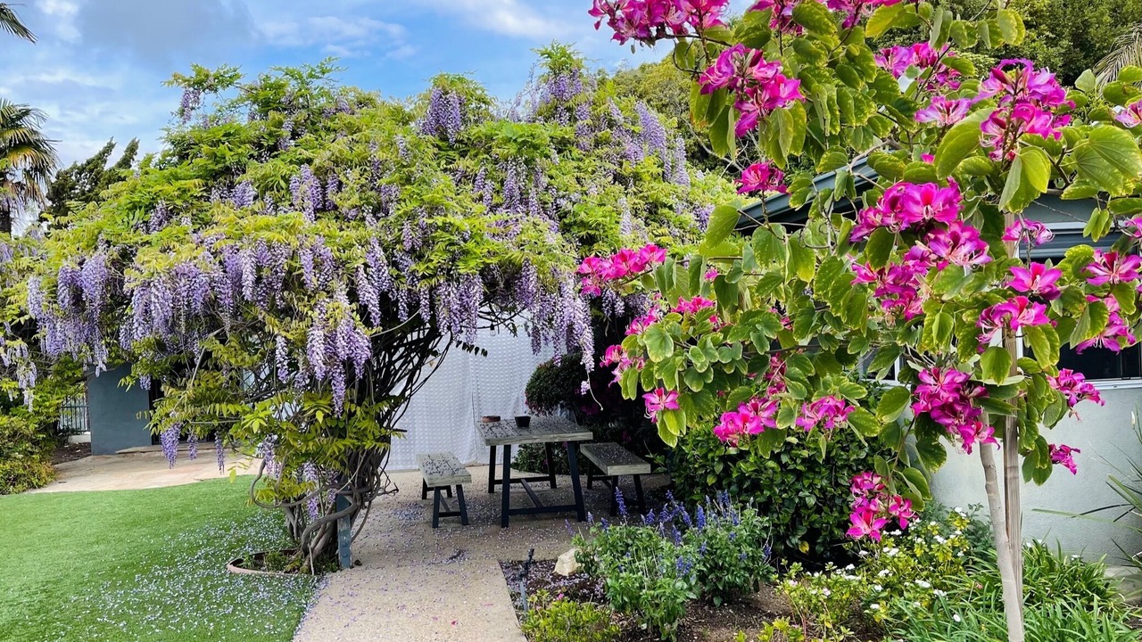 Photo of Outdoor in Beverly Hills