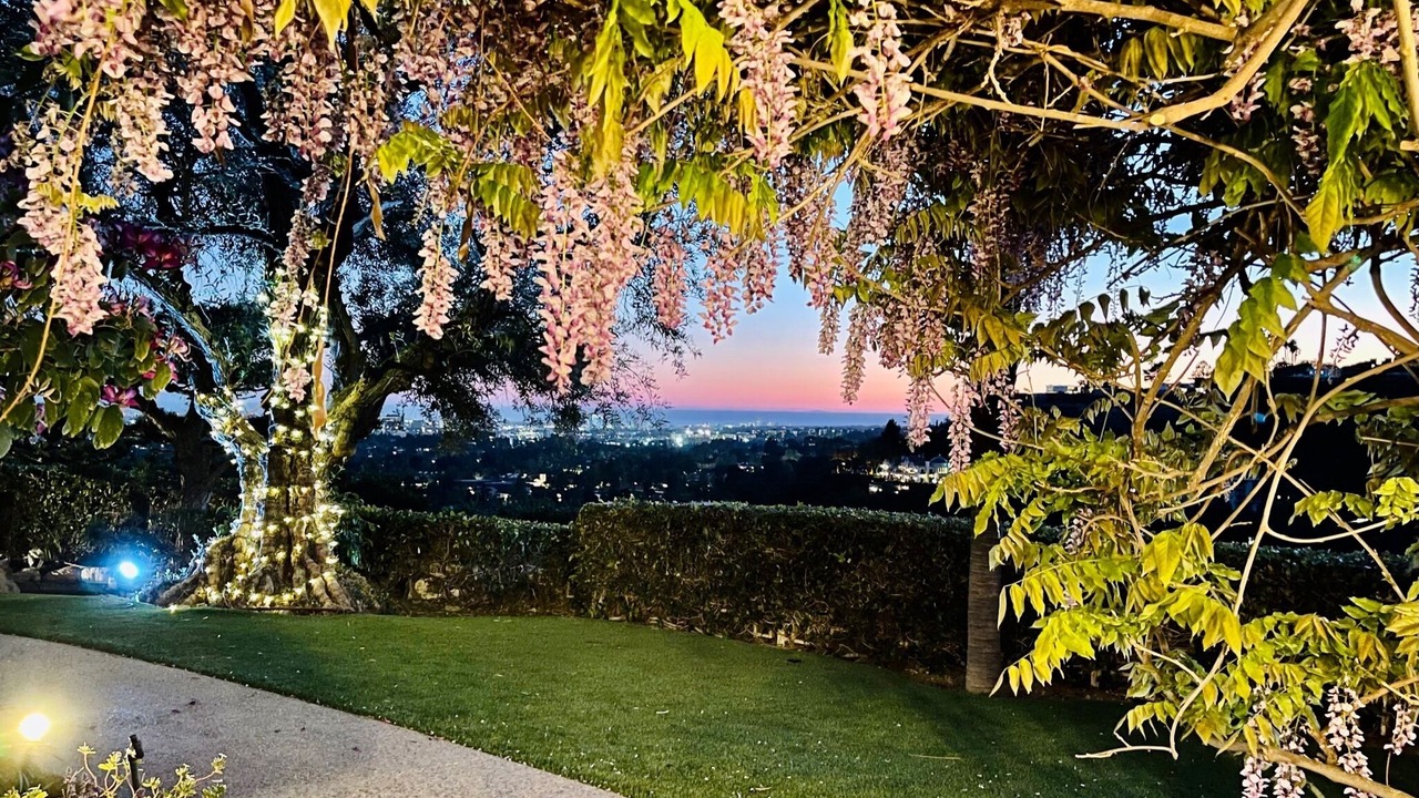 Photo of Outdoor in Beverly Hills