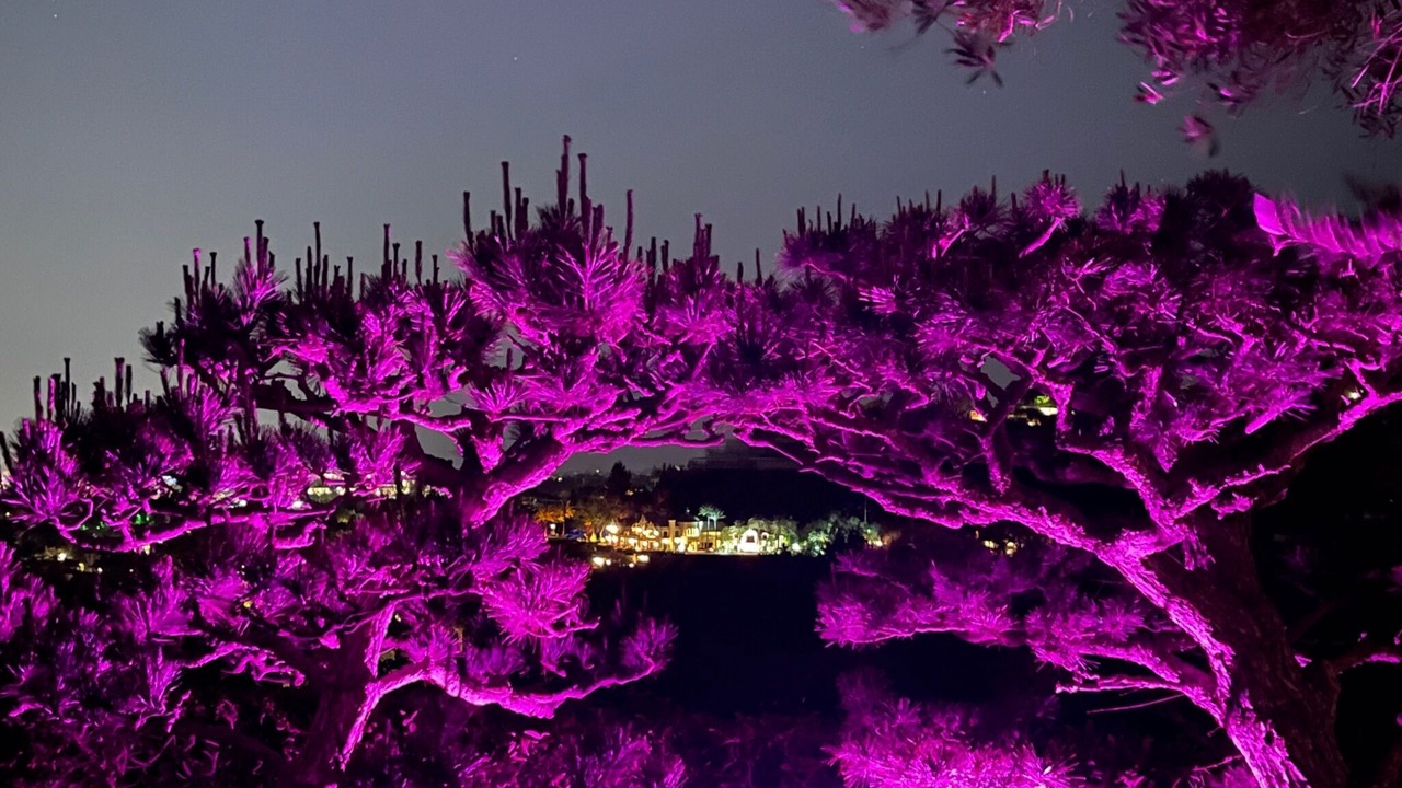 Photo of Outdoor in Beverly Hills