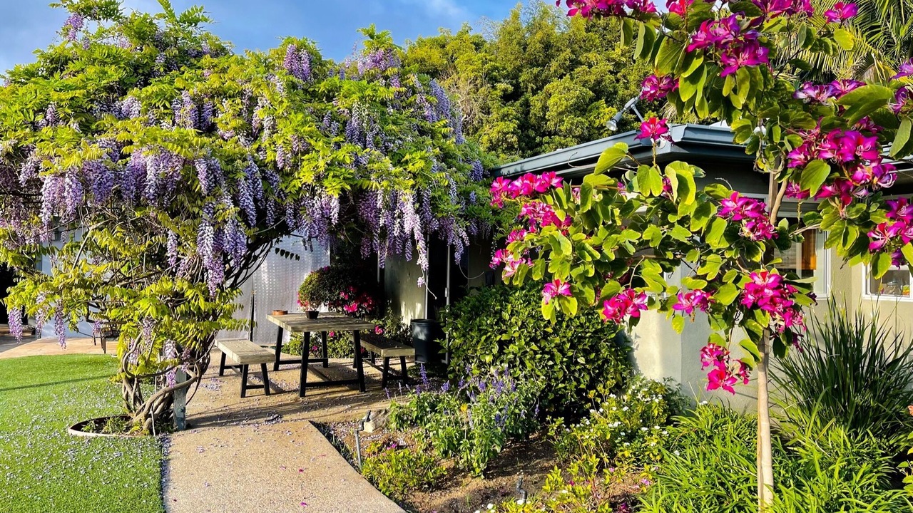 Photo of Outdoor in Beverly Hills