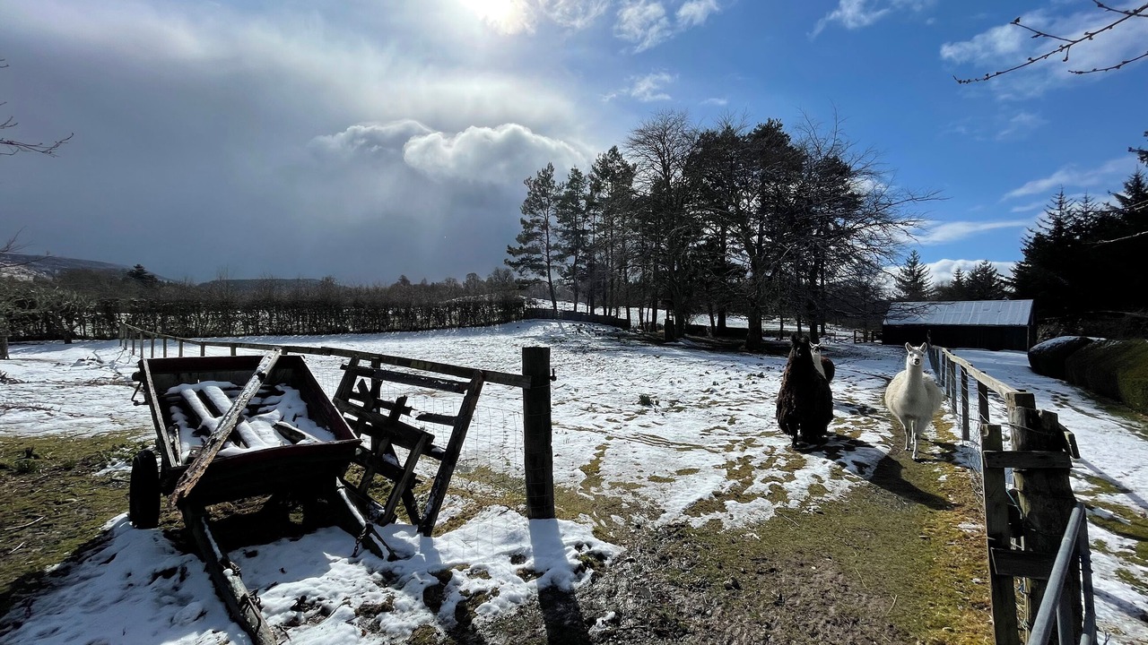 Photo of Outdoor in Inverarnie