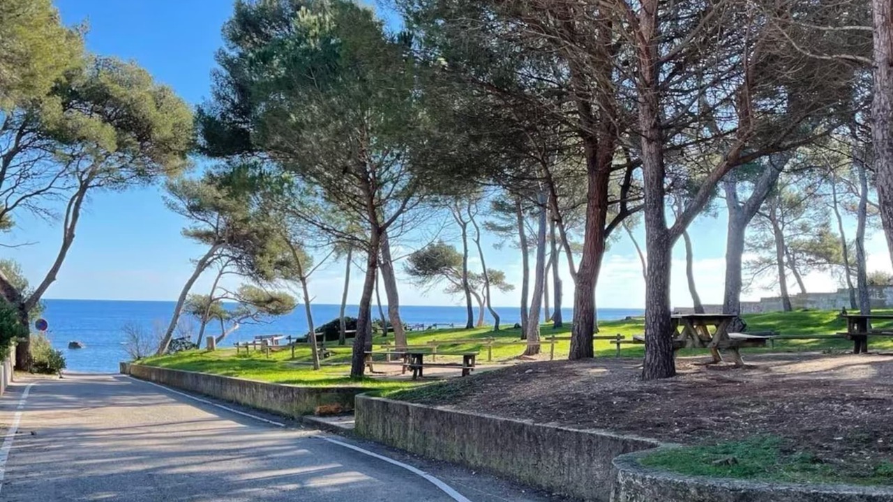 Photo of Others in La Seyne-sur-Mer