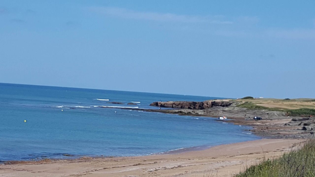 Photo of Others in Bretignolles-sur-Mer