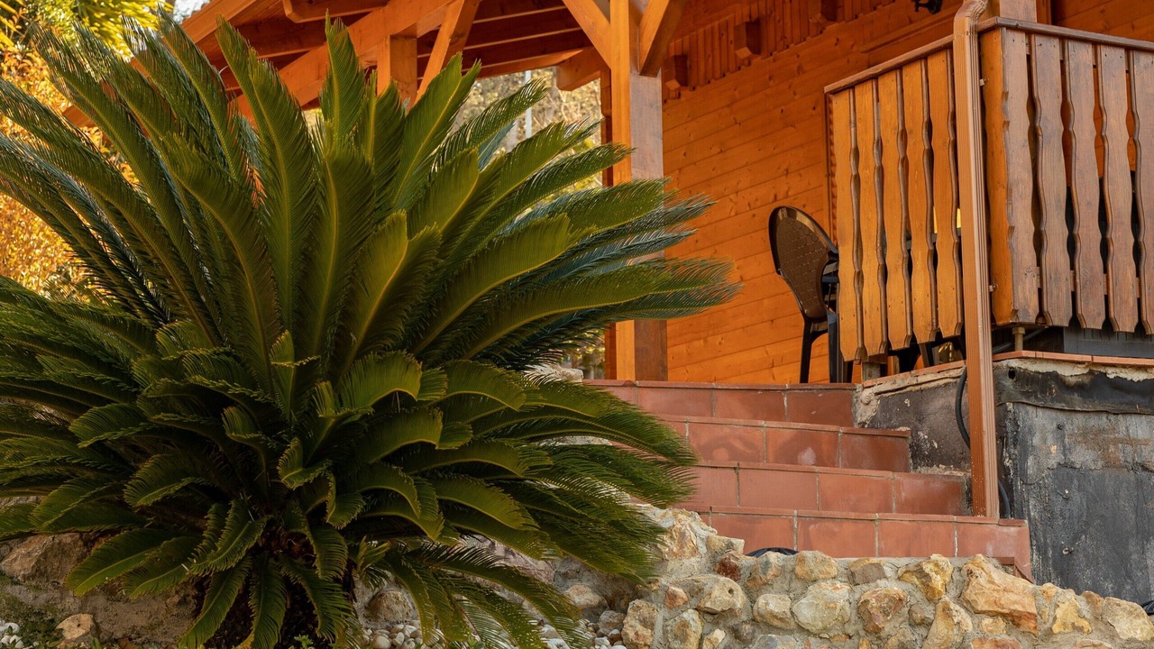 Photo of Outdoor in Calafell