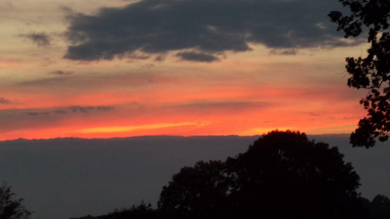 Photo of Others in Willies