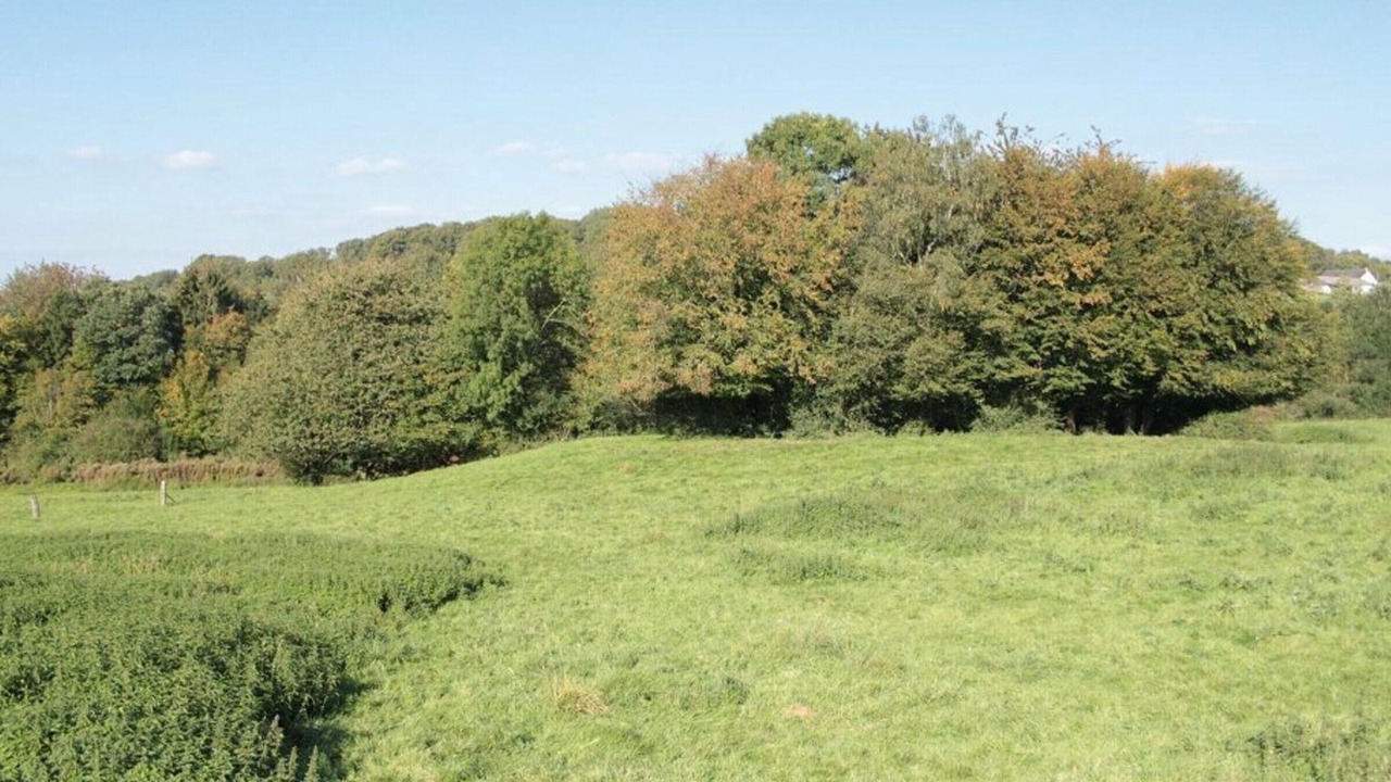 Photo of Others in Willies