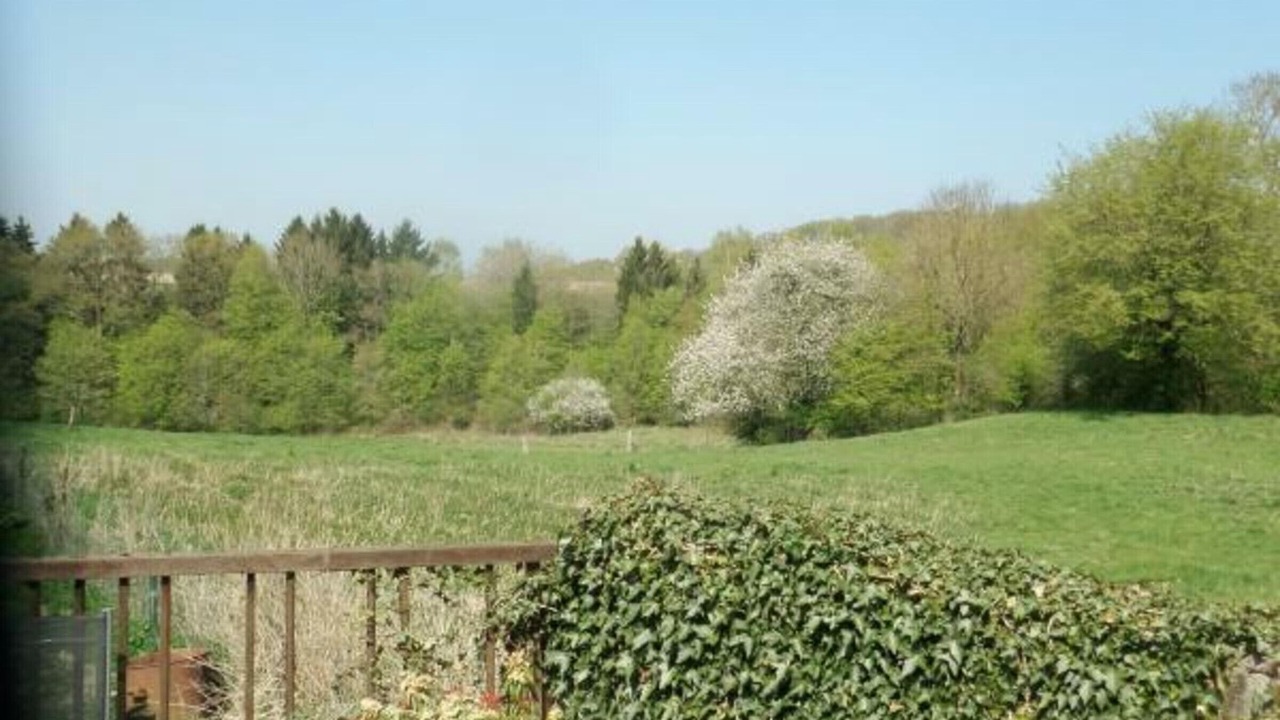 Photo of Outdoor in Willies