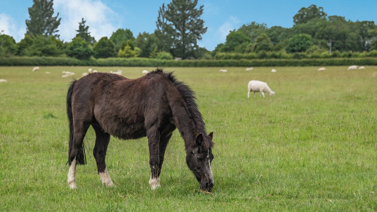 Photo of Others in Trowbridge