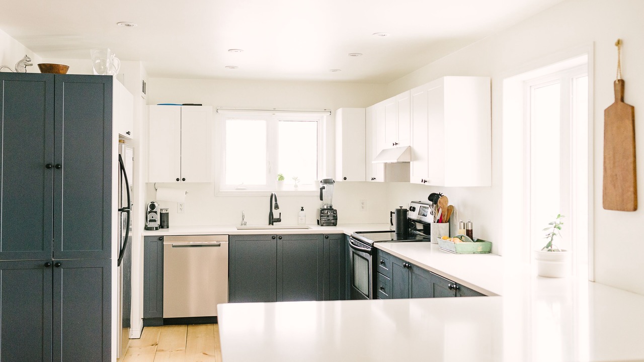 Photo of Kitchen in Wellington