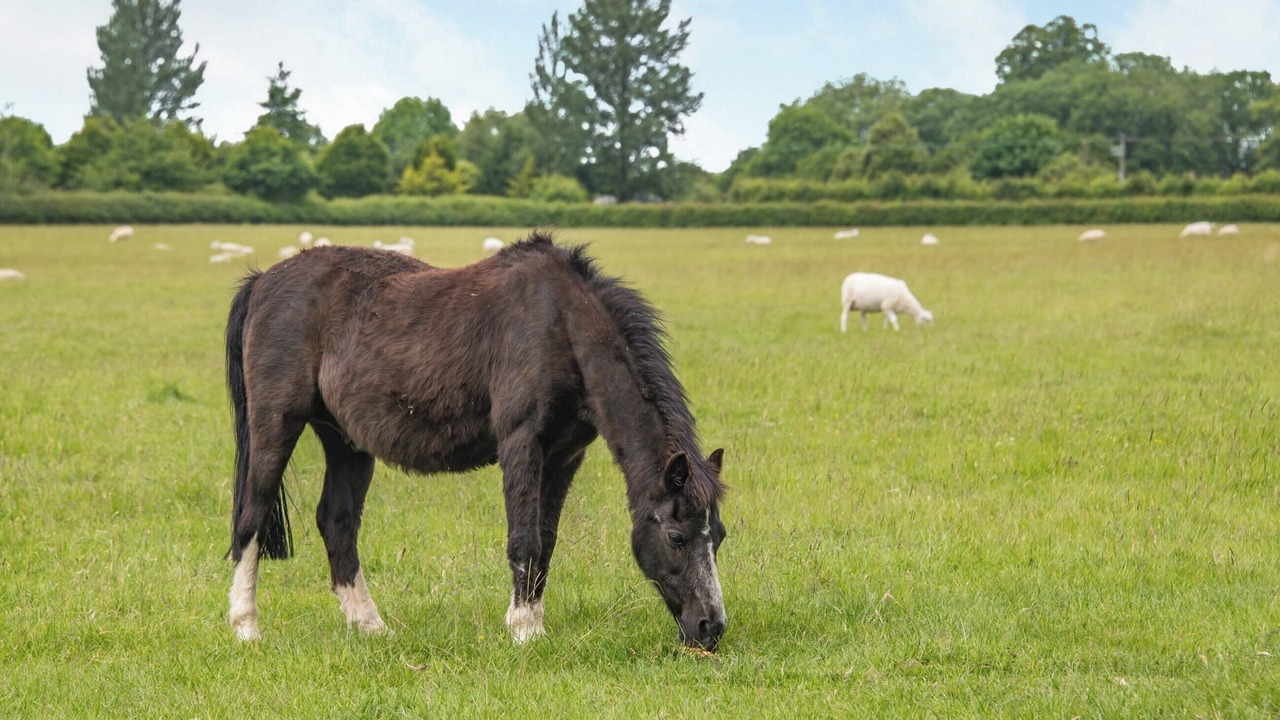 Photo of Others in Trowbridge