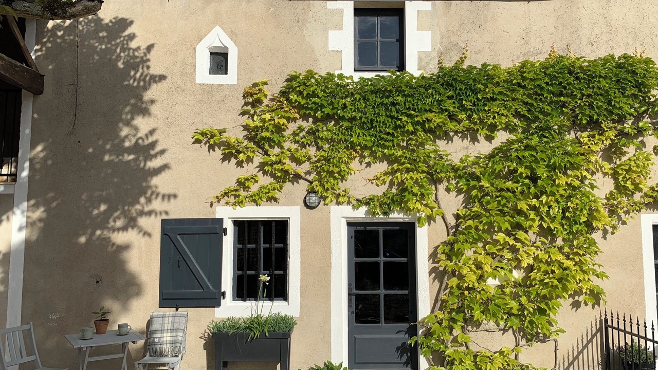 Photo of Others in Chives