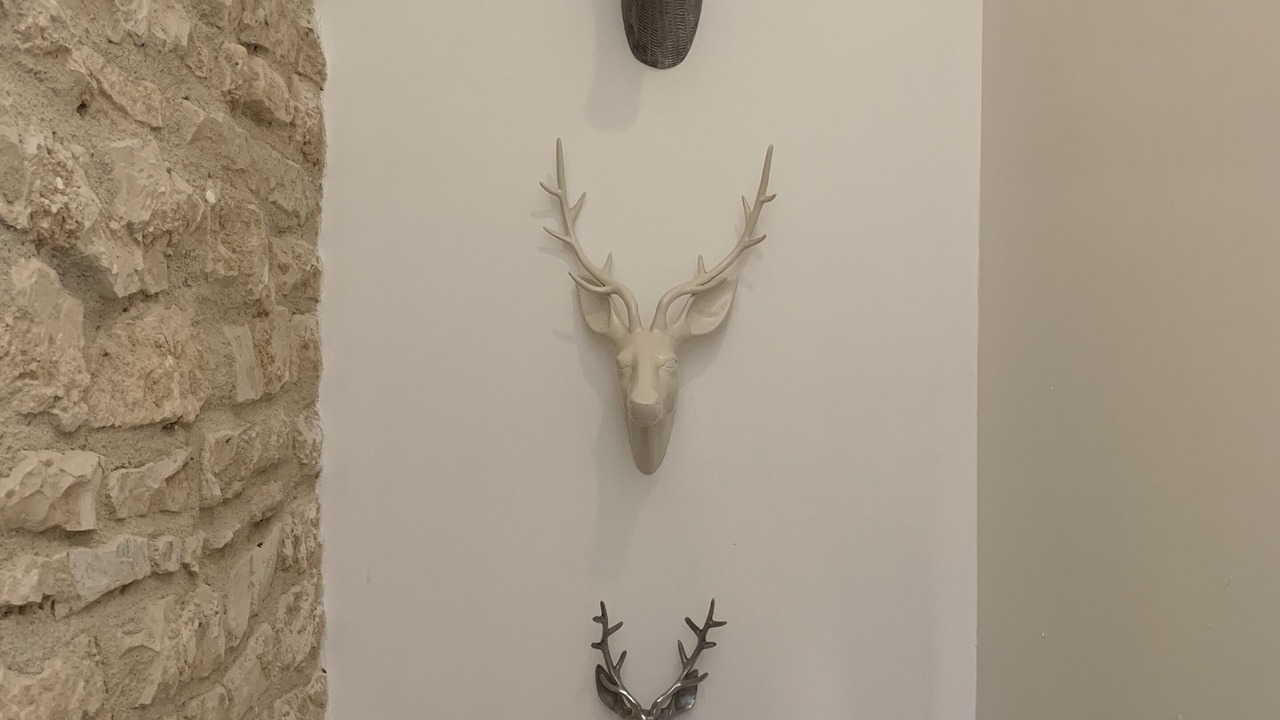 Photo of Others in Chives