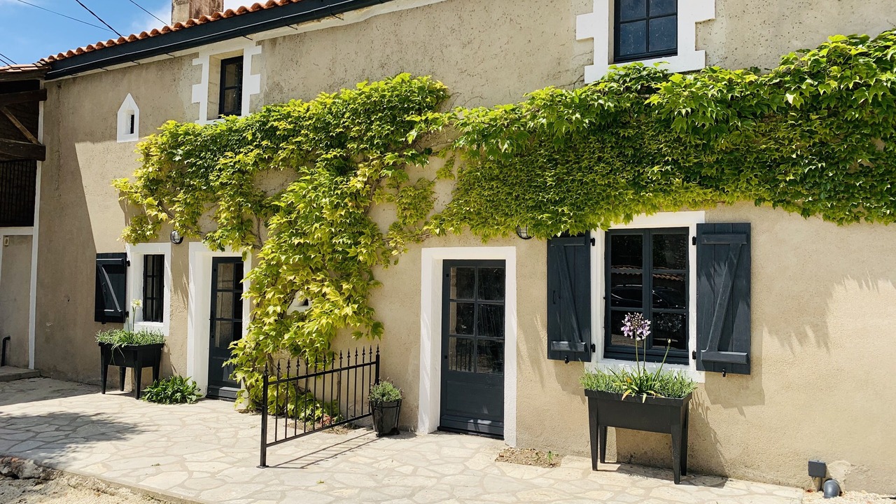 Photo of Others in Chives