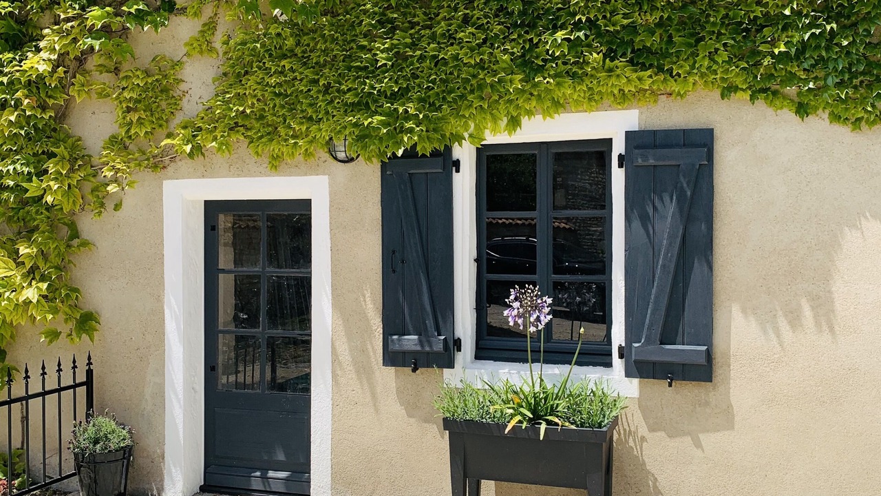 Photo of Others in Chives