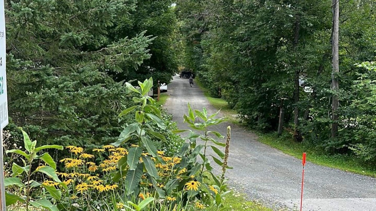 Photo of Outdoor in Seguin