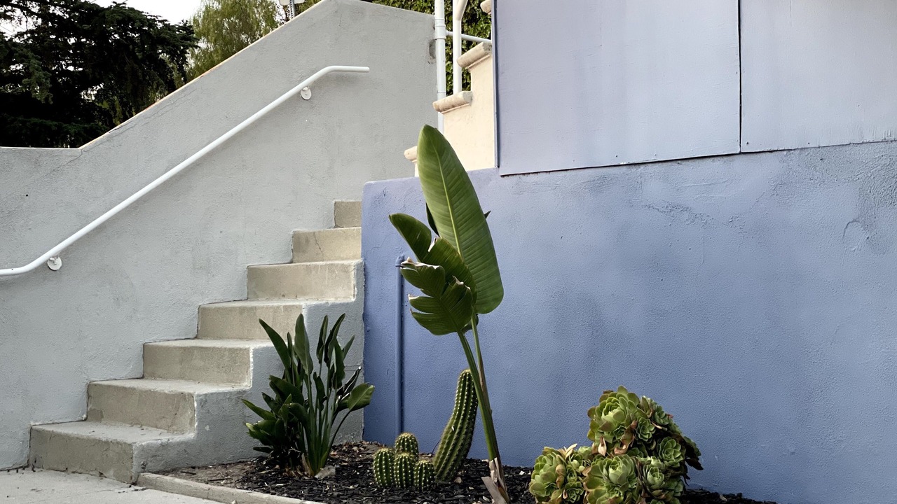 Photo of Outdoor in Woodland Hills