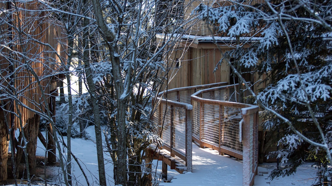 Photo of Outdoor in Fournet-Blancheroche