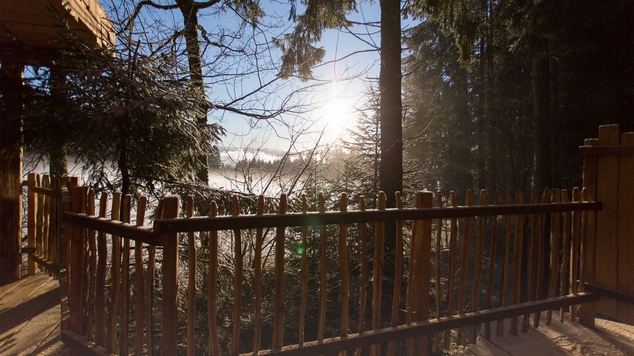 Photo of Outdoor in Fournet-Blancheroche