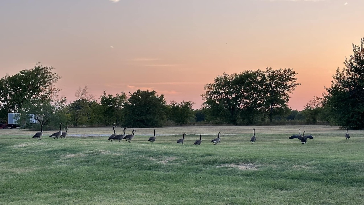 Photo of Others in Fort Worth