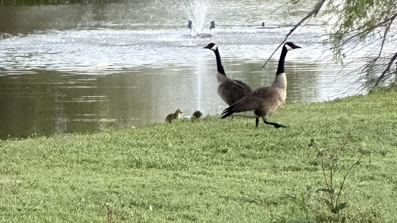 Photo of Outdoor in Fort Worth