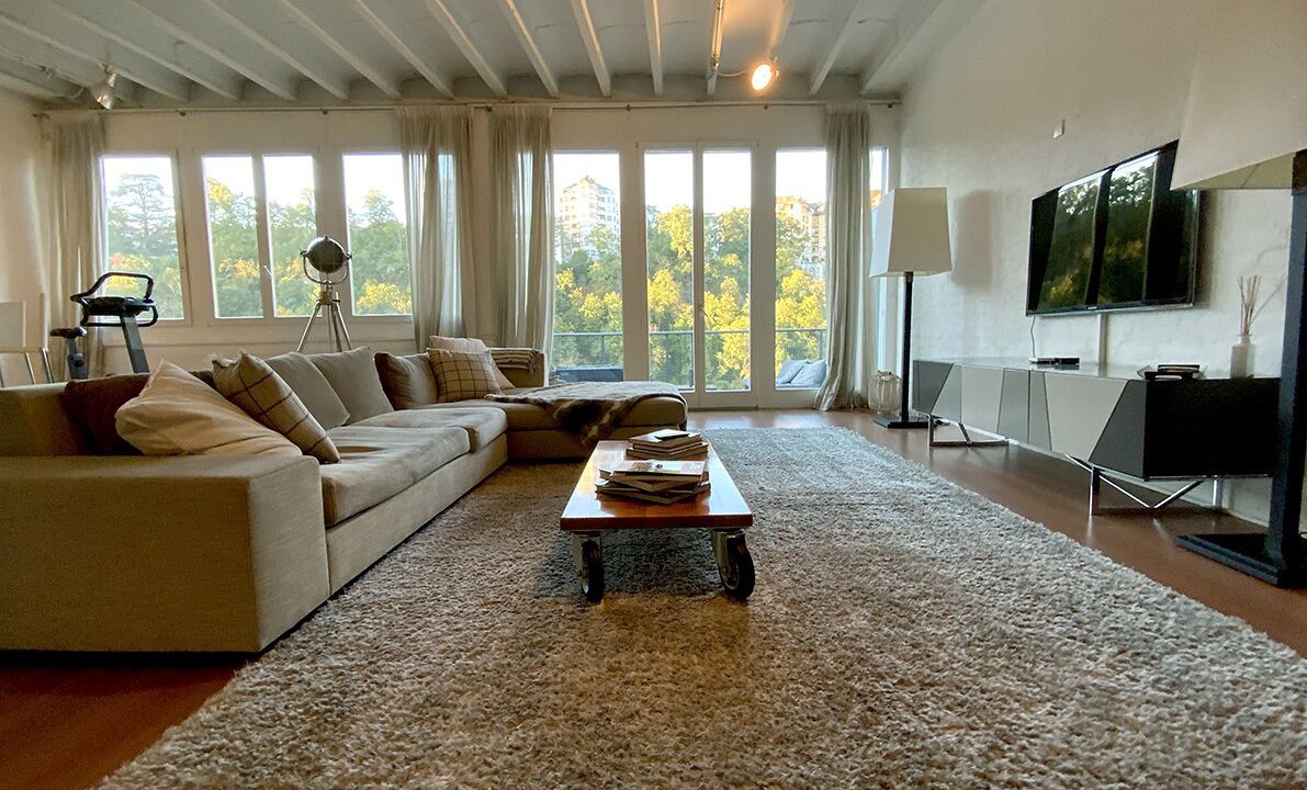 Photo of Livingroom in Plainpalais