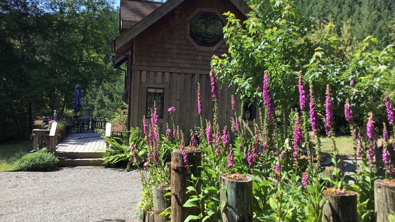 Photo of Outdoor in Arcata