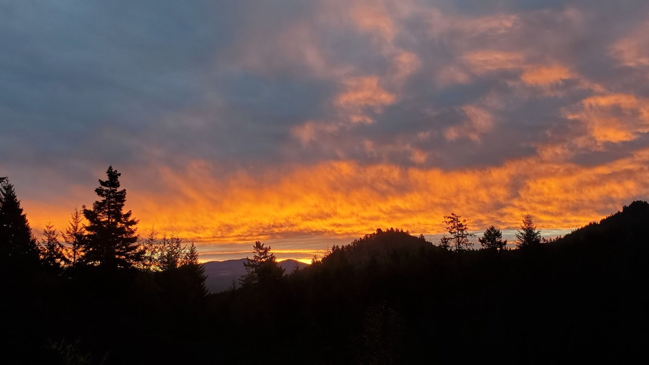 Photo of Outdoor in Arcata