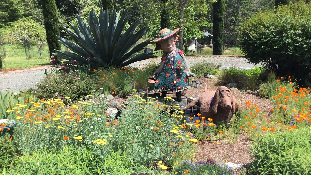 Photo of Outdoor in Arcata