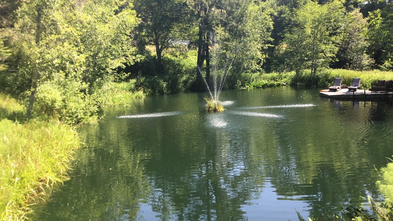 Photo of Outdoor in Arcata